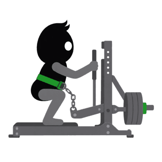 Illustration of the Belt Squat