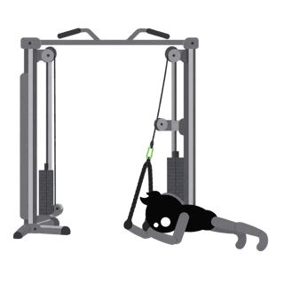 Illustration of the Cable Crunch: Round the spine down to the knees - the hips stay put, this is not a hinge.