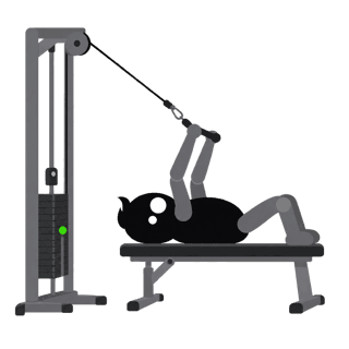 Illustration of the Cable Lying Triceps Extension