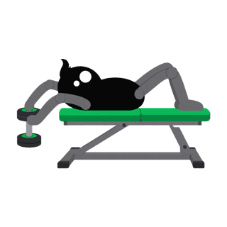 Illustration of the Dumbbell Pullover