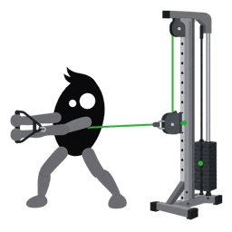 Illustration of the Pallof Press