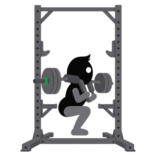 Illustration of the Safety Bar Squat