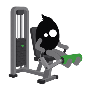 Illustration of the Single-Leg Extension