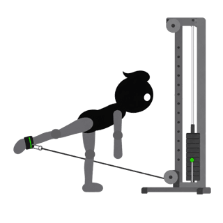 Illustration of the Cable Glute Kickback